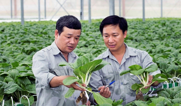 Mức lương của Kỹ sư Nhật Bản ngành nông nghiệp cao hơn nhiều so với tại Việt Nam