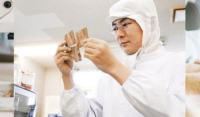 Kỹ sư Nhật Bản ngành Thực phẩm đảm nhận công việc về sản xuất, bảo quản thực phẩm
