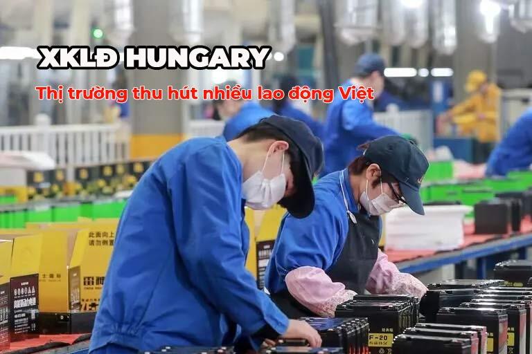 Thị trường lao động Hungary thu hút nhiều người Việt Nam