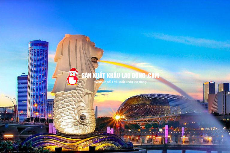 Ứng viên đã làm việc tại Singapore theo dạng thẻ TEP sẽ không tham gia được lần 2.