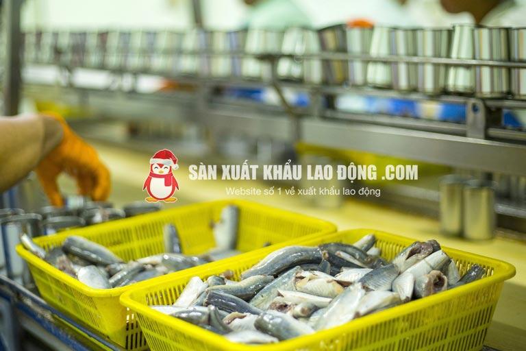 Mức lương của ngành chế biến thủy sản tại Nhật dao động từ 28 - 30 triệu/tháng