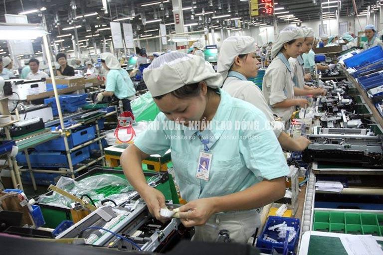 Các đơn hàng điện tử tại Saitama được nhiều lao động Việt săn đón