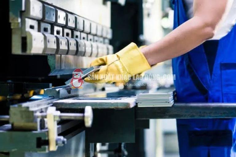 Trong các nhà máy lao động thường làm việc 8 tiếng/ngày