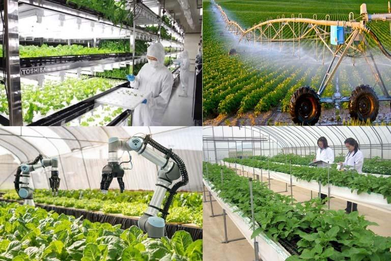 Công nghệ tự động hóa được đưa vào trong sản xuất nông nghiệp tại Tokyo