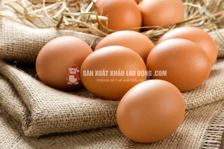 Theo quy định của  SFA, trứng tươi bị cấm tuyệt đối mang vào Singapore