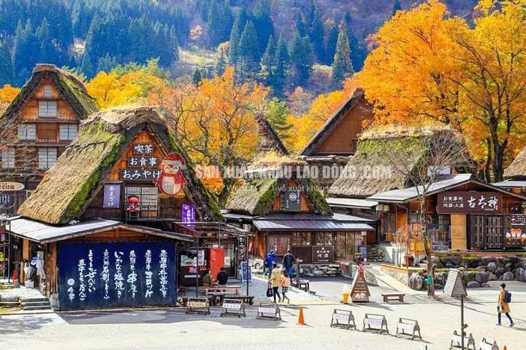 Ngôi làng cổ Shirakawa-go tại Gifu