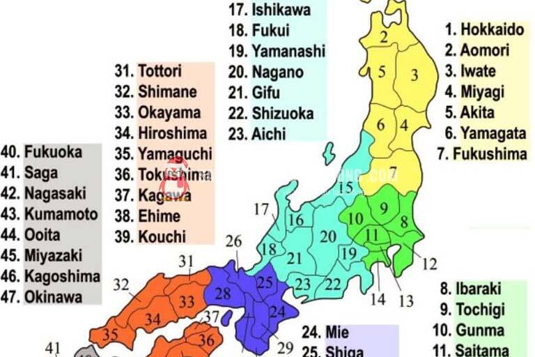 Tỉnh Shizuoka khá gần thủ đô Tokyo