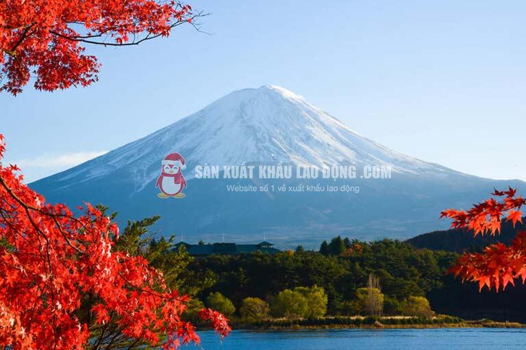 Thắng cảnh núi Phú Sĩ ở tỉnh Shizuoka