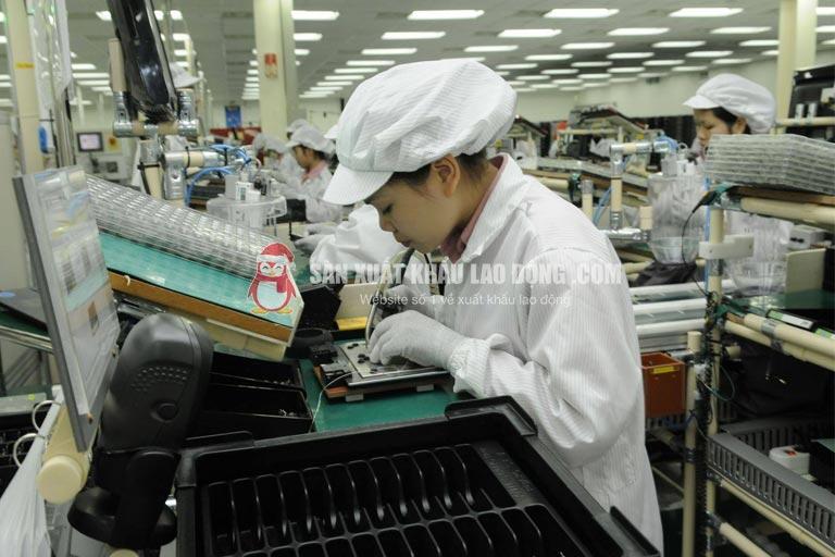 Công việc lắp ráp linh kiện điện tử trong nhà máy tại Ibaraki