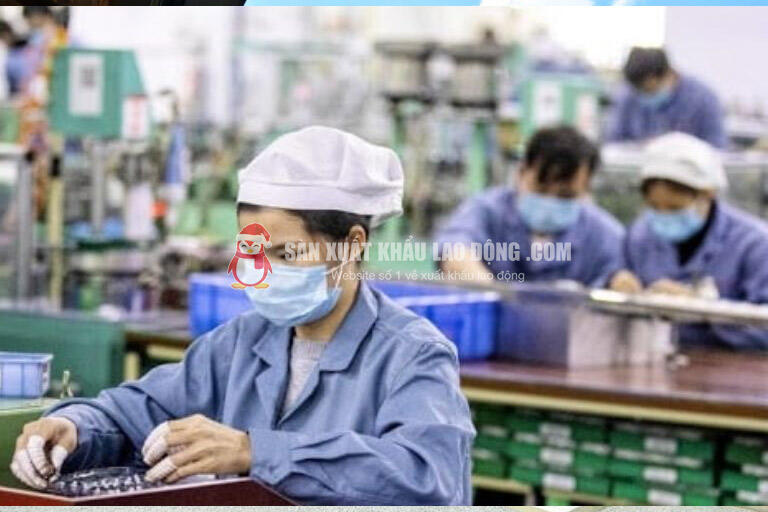 Thu nhập của lao động tại Mie tăng lên đáng kể nhờ làm thêm giờ