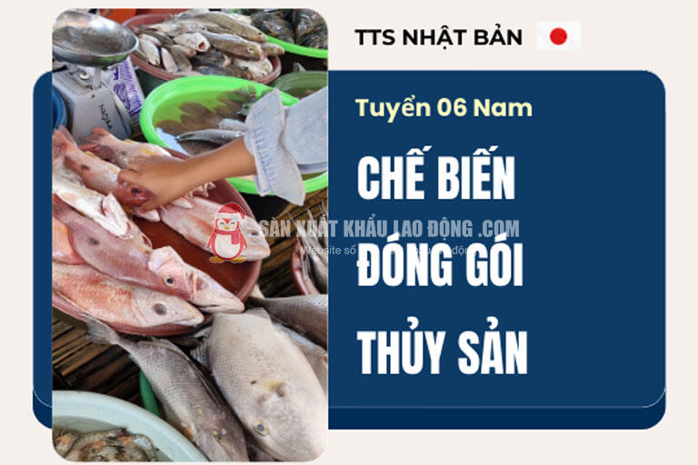 Cơ hội tham gia đơn hàng chế biến thủy sản tại thành phố Tokyo sầm uất