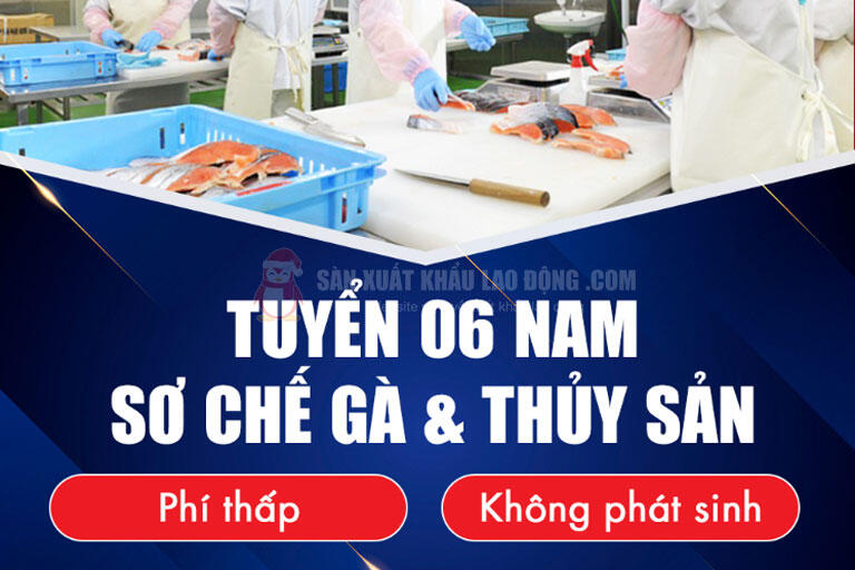 Đăng ký ngay để không bỏ lỡ đơn hàng sơ chế gà và thủy sản