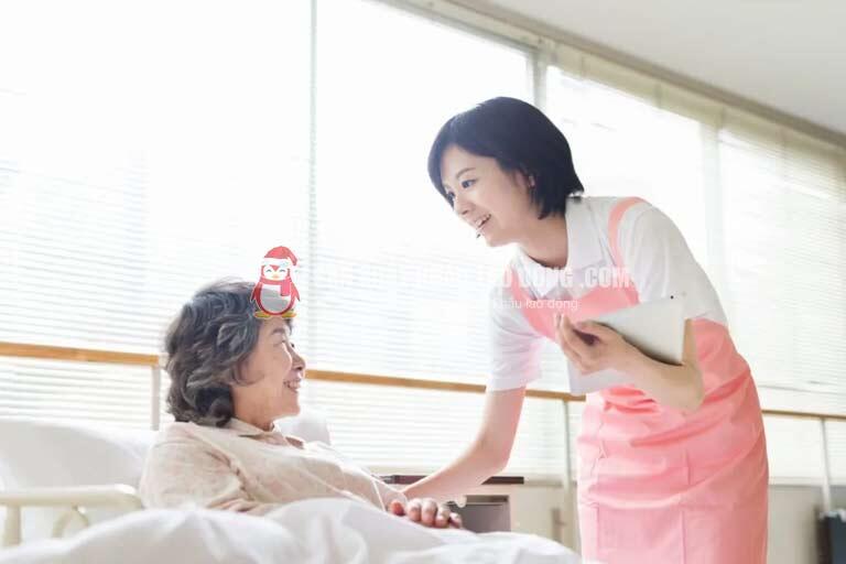 Điều dưỡng hộ lý là ngành đang rất cần nhân lực tại Okayama