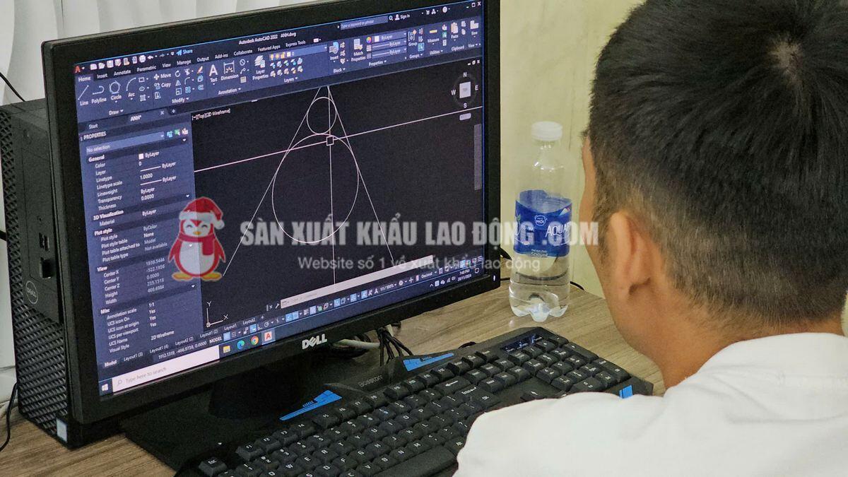 Người lao động n&ecirc;n &ocirc;n luyện kỹ năng chuy&ecirc;n m&ocirc;n trước khi phỏng vấn