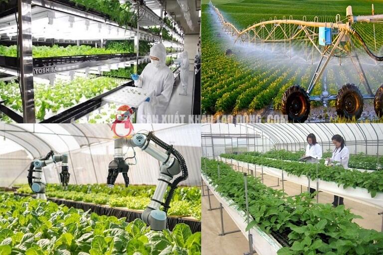 Ng&agrave;nh n&ocirc;ng nghiệp ph&ugrave; hợp với nhiều đối tượng