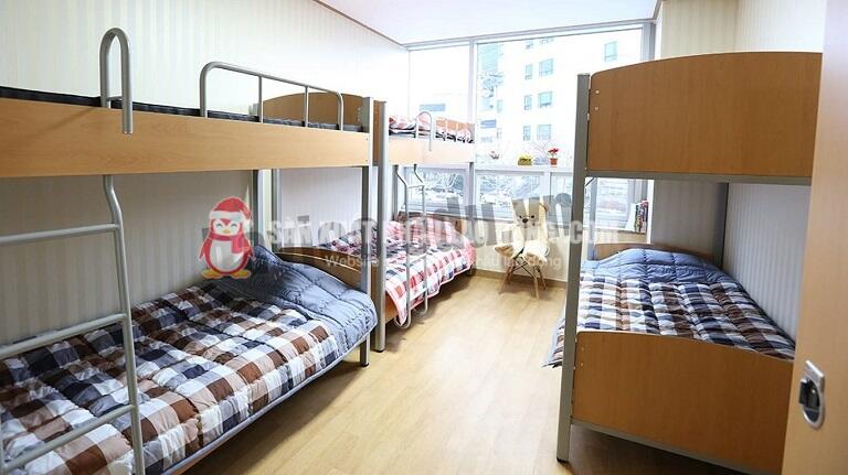 Ở k&yacute; t&uacute;c x&aacute; sẽ gi&uacute;p tiết kiệm chi ph&iacute;