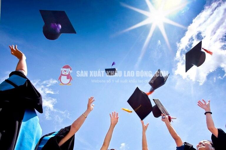 Ứng vi&ecirc;n thường cần c&oacute; bằng cao đẳng, đại học