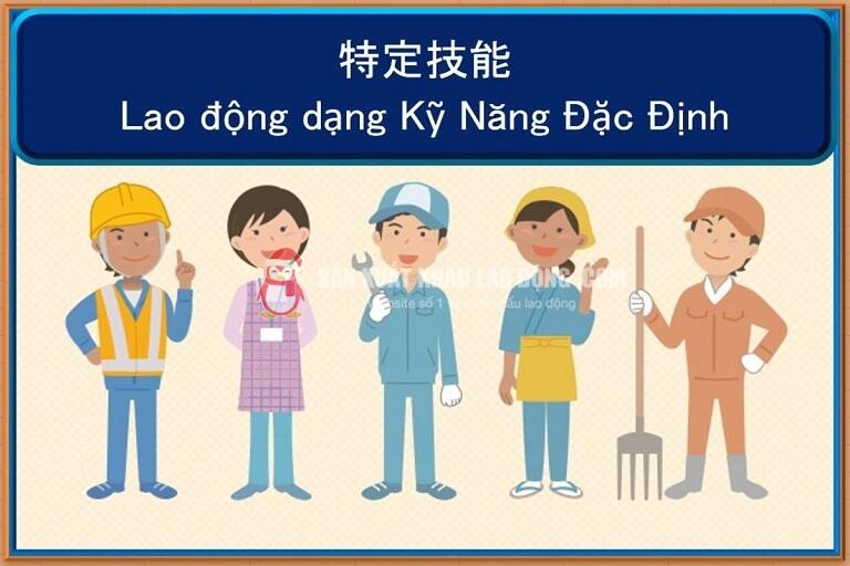 C&acirc;n nhắc kỹ lưỡng khi chọn chương tr&igrave;nh kỹ năng đặc định&nbsp;