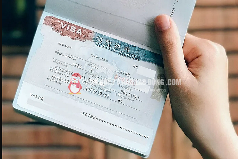 Visa E7 H&agrave;n Quốc l&agrave; visa lao động d&agrave;nh cho người nước ngo&agrave;i c&oacute; kỹ thuật