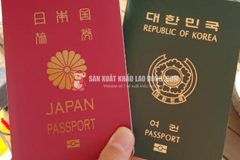 C&acirc;n nhắc ti&ecirc;u ch&iacute; ph&ugrave; hợp với bản th&acirc;n để c&oacute; lựa chọn tốt nhất