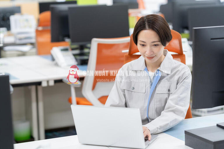 Đừng chỉ nh&igrave;n mức lương. H&atilde;y hỏi r&otilde; bạn l&agrave; Kỹ sư ch&iacute;nh thức (Seishain) hay Kỹ sư ph&aacute;i cử (Haken)