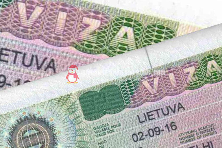 Visa quốc gia loại D l&agrave; một trong những loại giấy tờ người lao động cần x&aacute;c định r&otilde; trước khi đăng k&yacute; đơn h&agrave;ng Litva.
