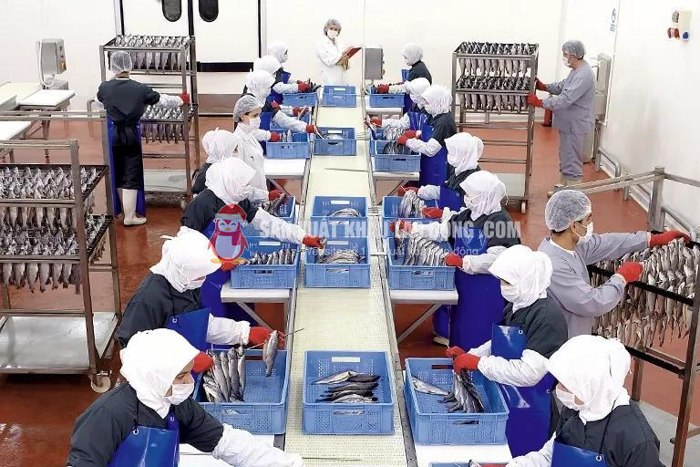 Ng&agrave;nh chế biến thủy sản tại Hy Lạp thời hạn được quy định trong từng chương tr&igrave;nh.