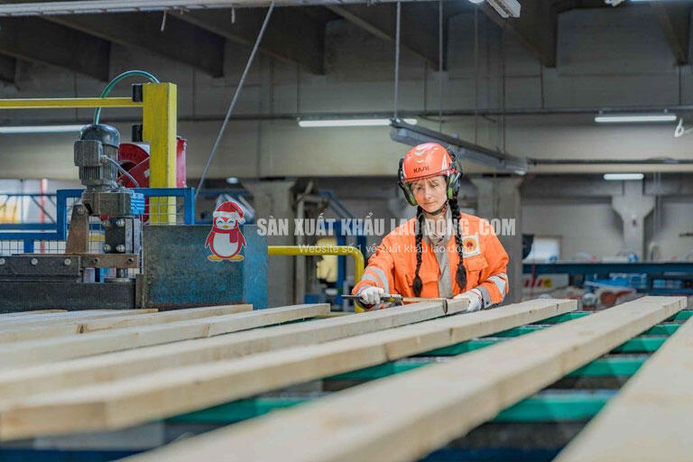 Nếu đ&atilde; c&oacute; kinh nghiệm sản xuất gỗ nội thất bạn n&ecirc;n tham khảo nhưng đơn h&agrave;ng mộc li&ecirc;n quan