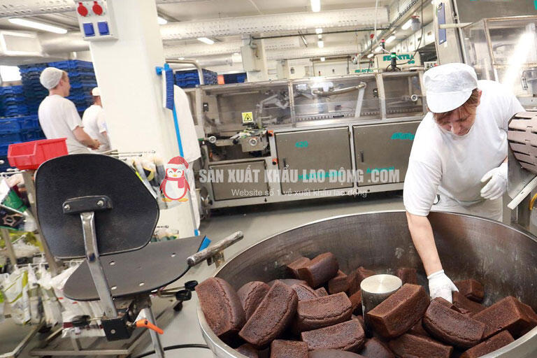 Chế biến thực phẩm l&agrave; ng&agrave;nh c&oacute; nhu cầu tuyển dụng tại Litva