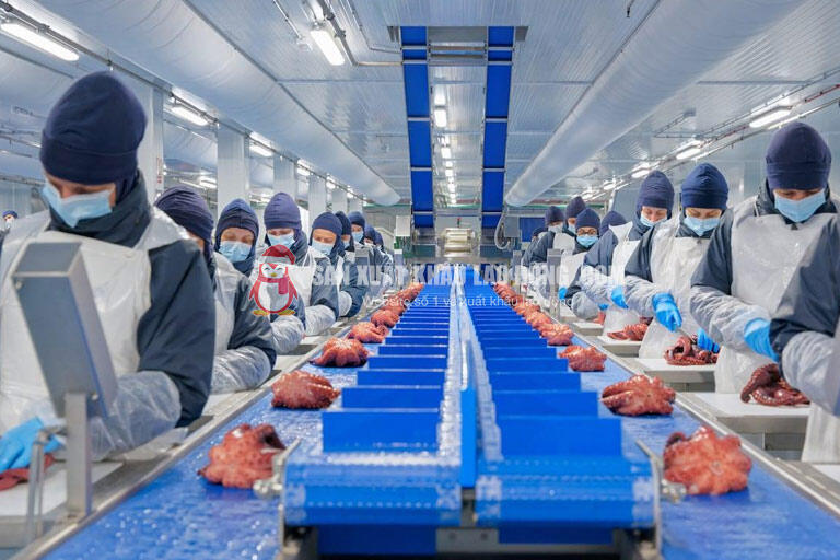 Người lao động cần lưu &yacute;: Đơn h&agrave;ng chế biến thủy sản thường mang t&iacute;nh thời vụ